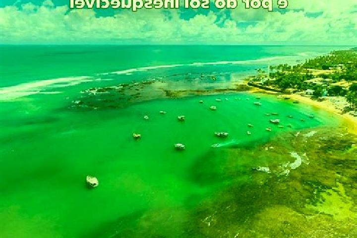 Escorts Ipiau, Brazil — Local Companions