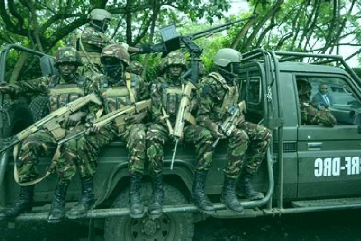 Escorts Isamba, DR Congo — Local Companions