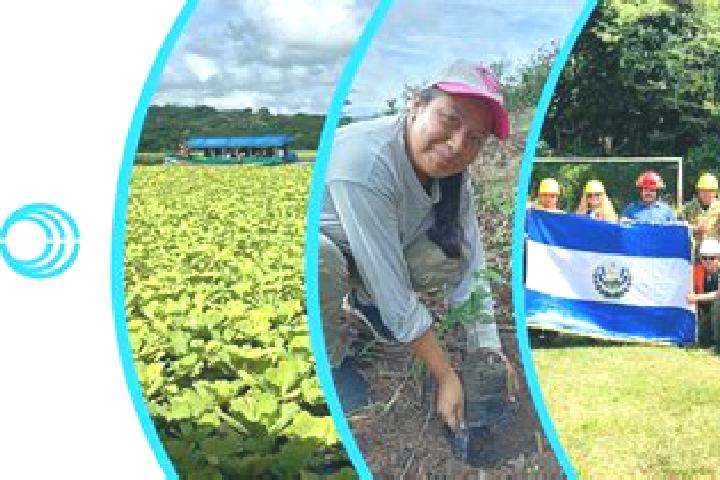 Escorts Iscos, Peru — Local Companions