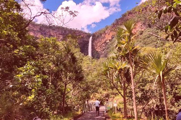Escorts Itiquira, Brazil — Local Companions