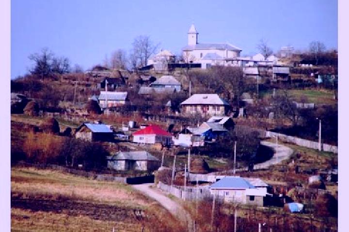 Escorts Izvoru Berheciului, Romania — Local Companions