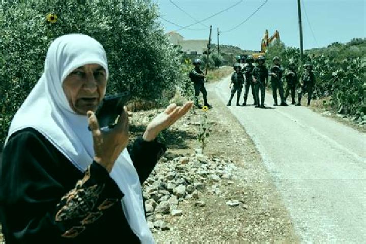 Escorts Jalbun, Palestine — Local Companions