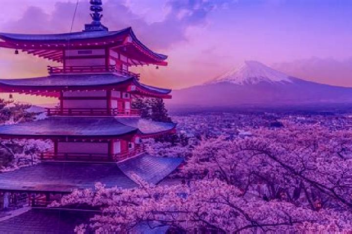 Escorts Japons, Austria — Local Companions