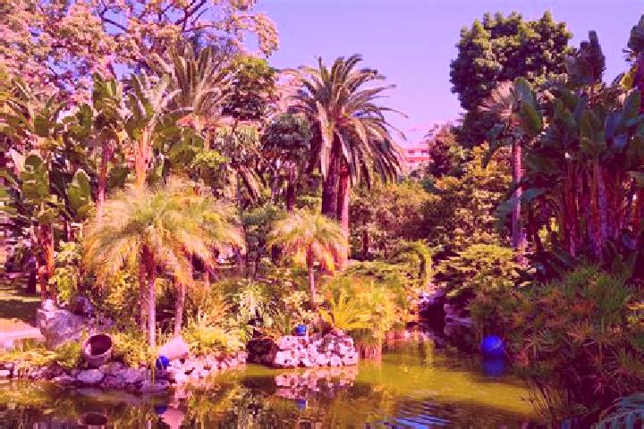 Escorts Jardin Exotique, Monaco — Local Companions
