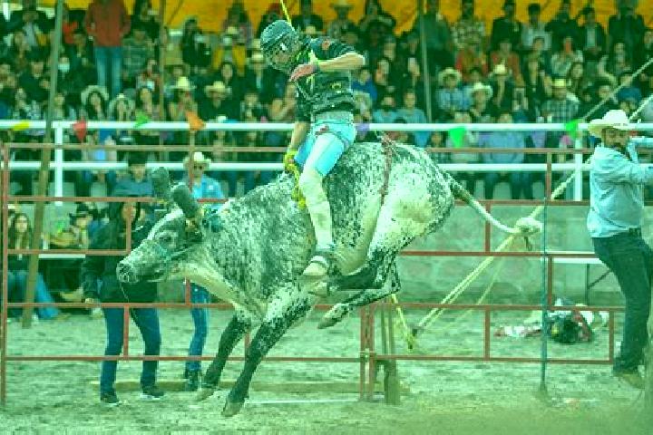 Escorts Jaripeo, Mexico — Local Companions