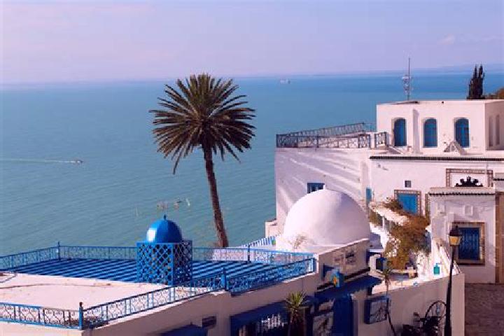 Escorts Jedeida, Tunisia — Local Companions