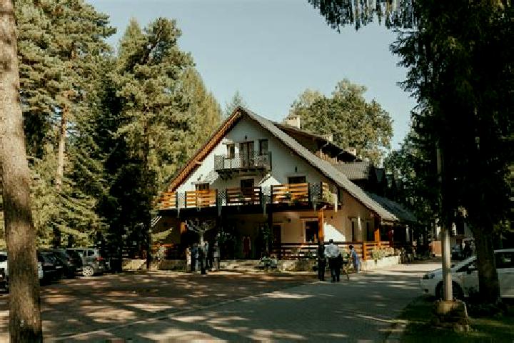 Escorts Jelsovce, Slovakia — Local Companions