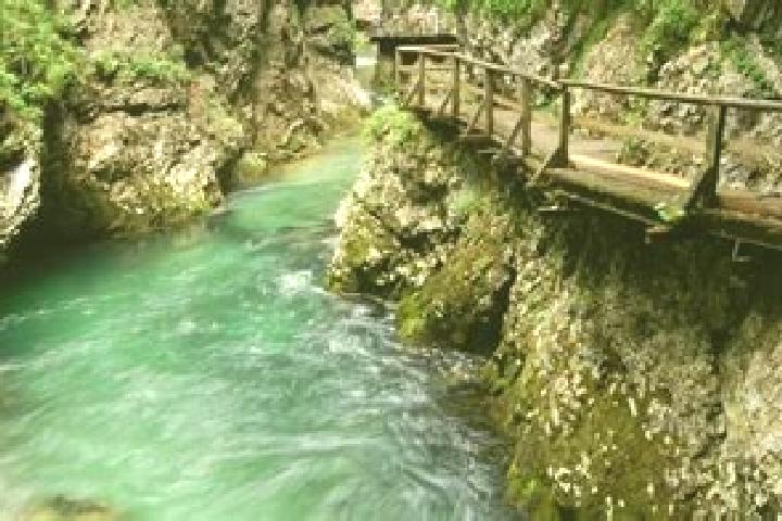 Escorts Jesenice, Slovenia — Local Companions