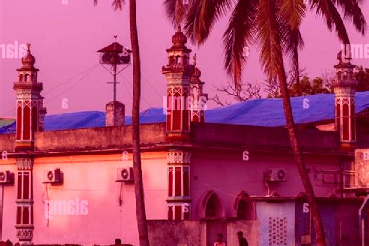 Escorts Jessore, Bangladesh — Local Companions