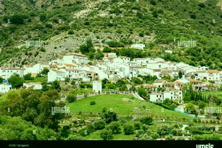 Escorts Jimera de Libar, Spain — Local Companions