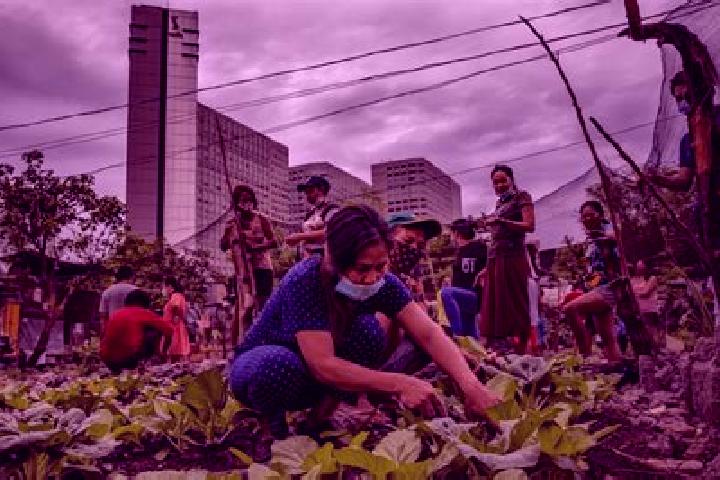 Escorts Jones, Philippines — Local Companions
