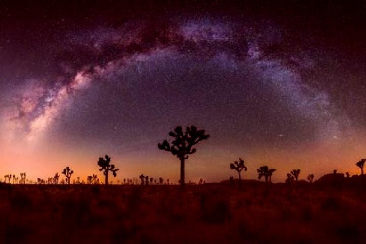 Escorts Joshua Tree, United States — Local Companions