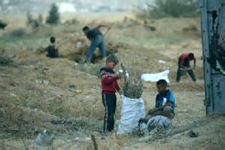 Escorts Juhr ad Dik, Palestine — Local Companions