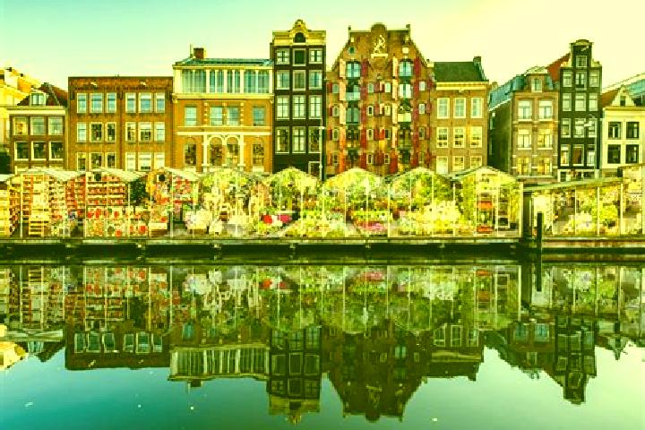 Escorts Kaalheide, Netherlands — Local Companions