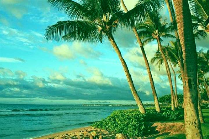 Escorts Kaanapali Landing, United States — Local Companions
