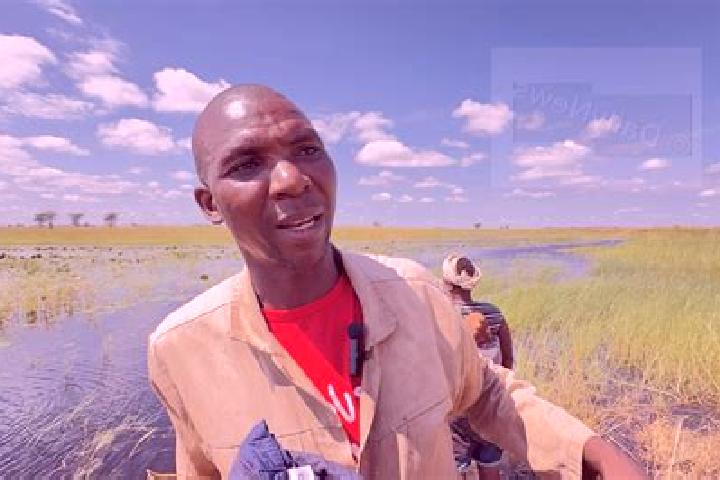 Escorts Kachikau, Botswana — Local Companions