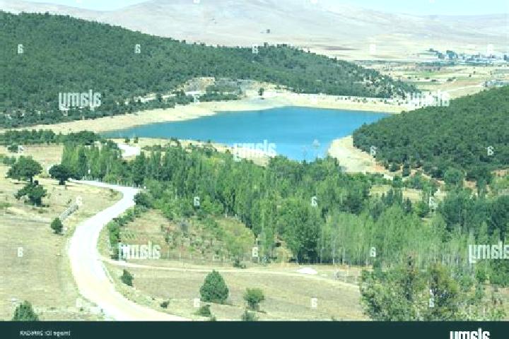 Escorts Kadinhani, Turkey — Local Companions
