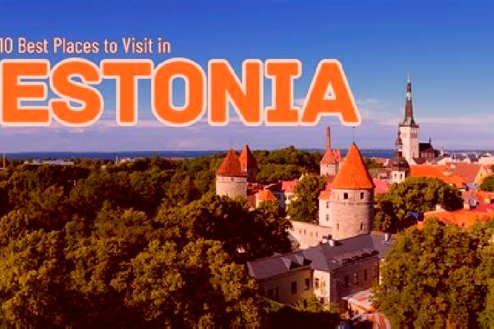 Escorts Kadrina, Estonia — Local Companions