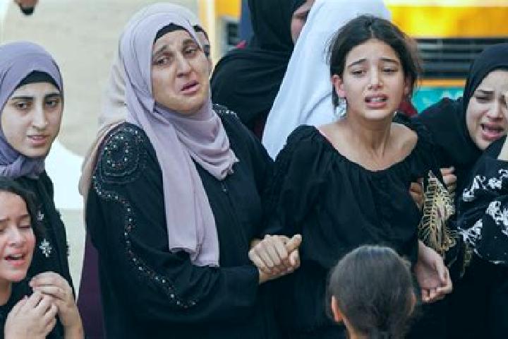 Escorts Kafr Dan, Palestine — Local Companions