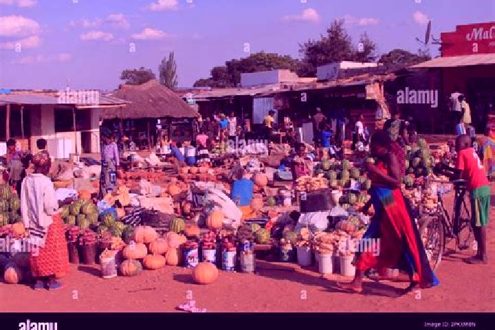 Escorts Kafue, Zambia — Local Companions