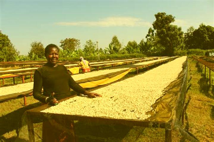 Escorts Kagumo, Kenya — Local Companions