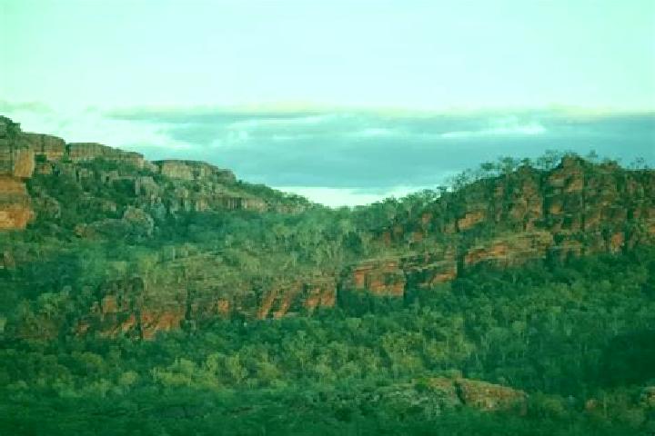 Escorts Kakadu, Australia — Local Companions