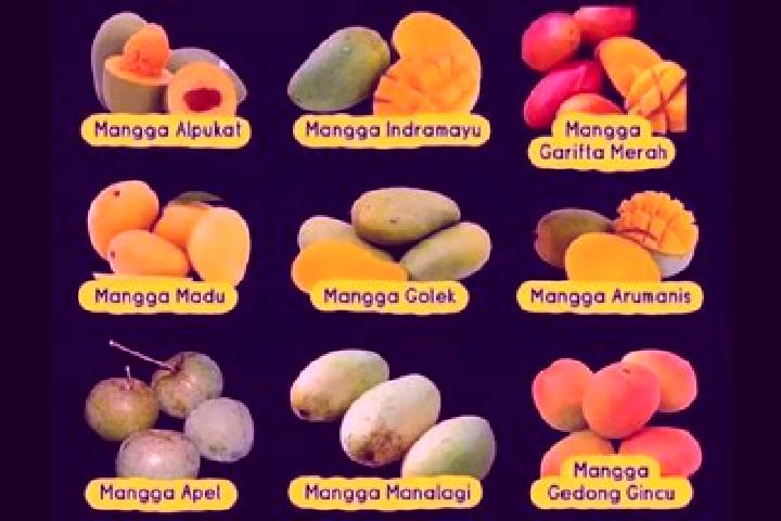 Escorts Kalang Mangga, Indonesia — Local Companions