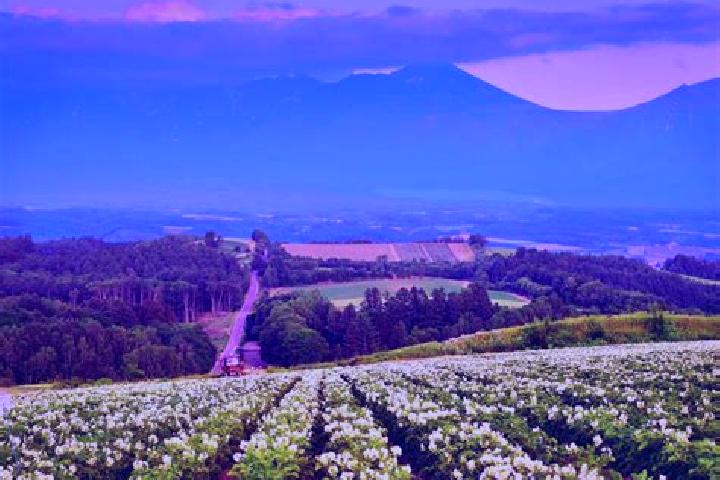Escorts Kami-furano, Japan — Local Companions