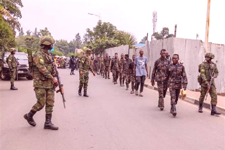 Escorts Kamina, DR Congo — Local Companions
