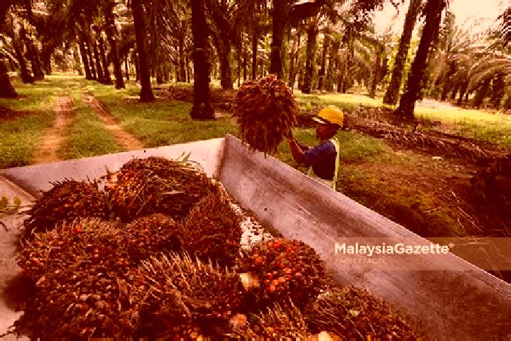 Escorts Kampung Ladang Sawit Lepar, Malaysia — Local Companions