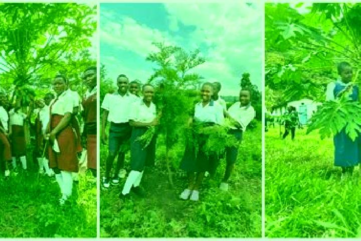 Escorts Kasese, Uganda — Local Companions