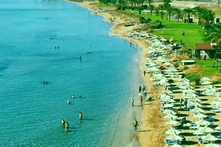 Escorts Kato Deftera, Cyprus — Local Companions