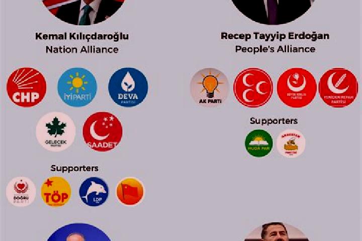 Escorts Kaynasli, Turkey — Local Companions