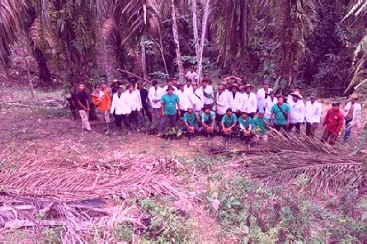 Escorts Kebon Gunung, Indonesia — Local Companions