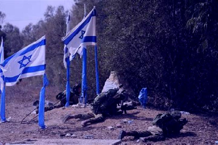 Escorts Kefar Ezyon, Palestine — Local Companions
