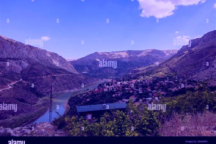 Escorts Kemaliye, Turkey — Local Companions