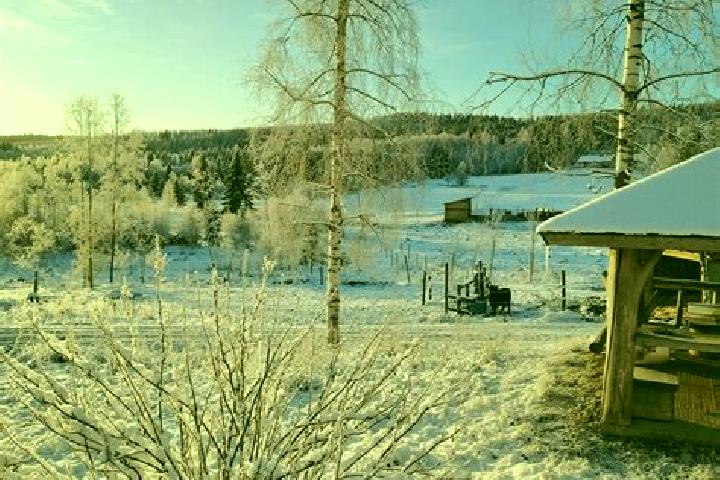 Escorts Kempele, Finland — Local Companions