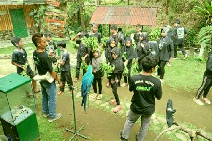 Escorts Kemuning, Indonesia — Local Companions