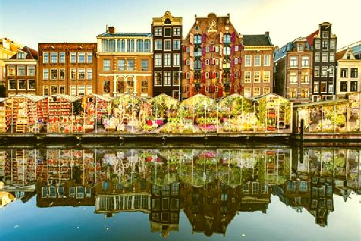 Escorts Kesseleik, Netherlands — Local Companions