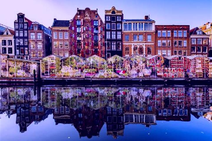 Escorts Ketelhaven, Netherlands — Local Companions