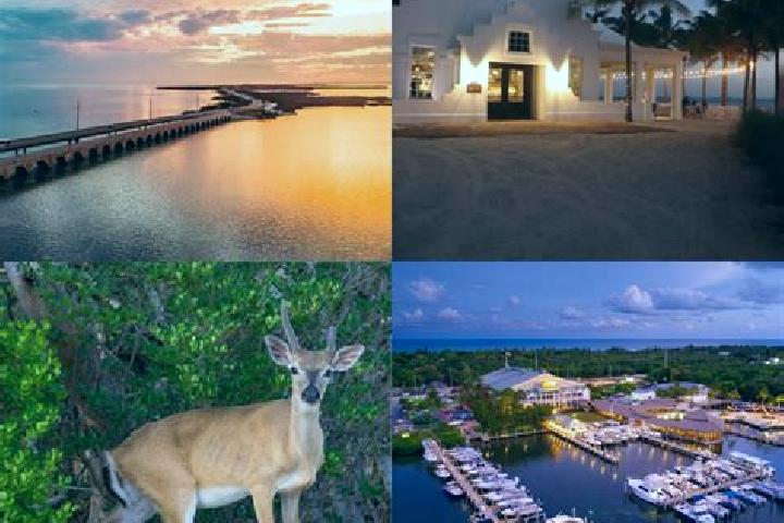 Escorts Keys, United States — Local Companions