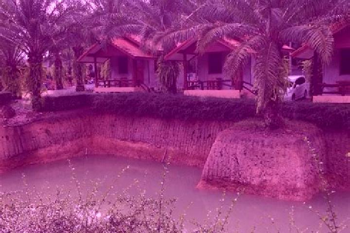 Escorts Khao Saming, Thailand — Local Companions