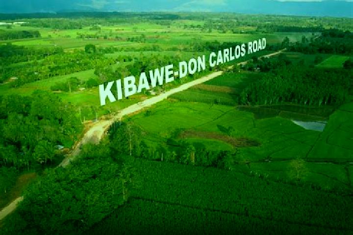 Escorts Kibawe, Philippines — Local Companions