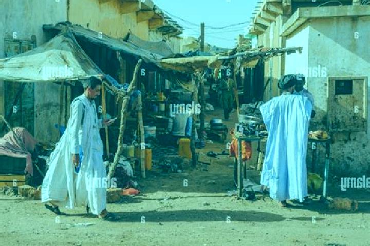 Escorts Kiffa, Mauritania — Local Companions
