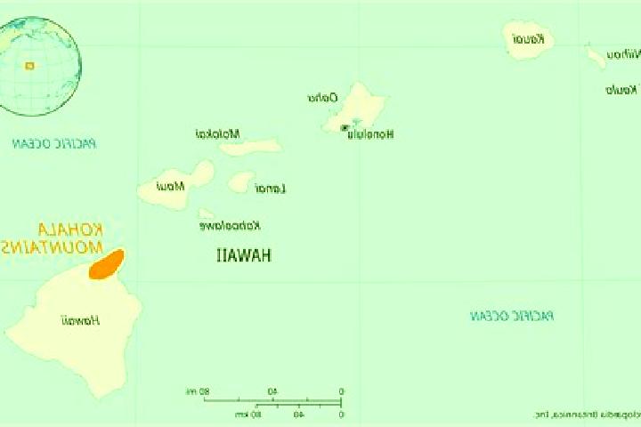 Escorts Kilauea, United States — Local Companions