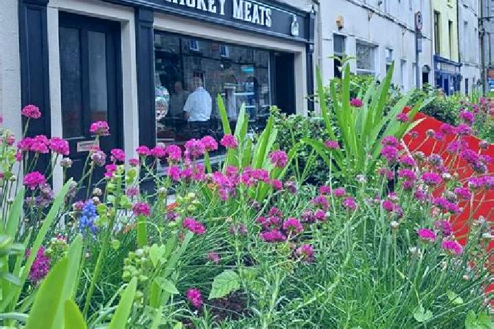 Escorts Kilsheelan, Ireland — Local Companions