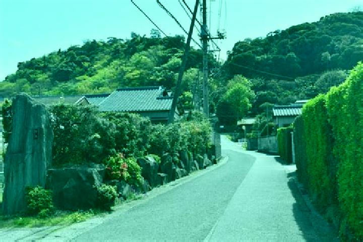Escorts Kimitsu, Japan — Local Companions