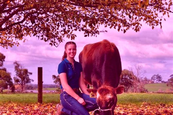 Escorts Kingsville, Australia — Local Companions