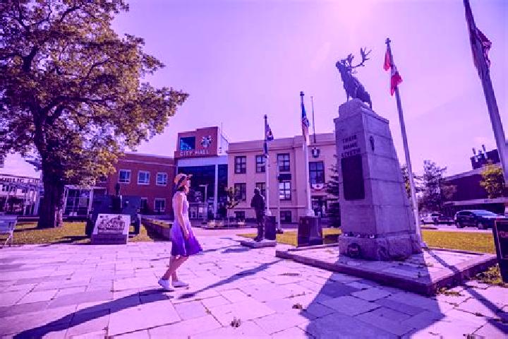 Escorts Kippens, Canada — Local Companions
