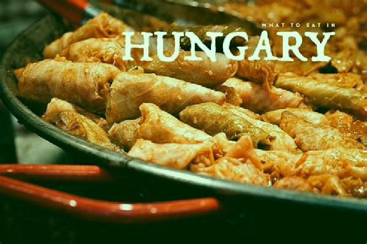 Escorts Kispest, Hungary — Local Companions